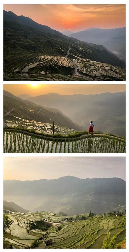 万思露 加榜梯田的日出