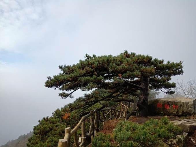 304.徐明 薄雾下的薄刀峰