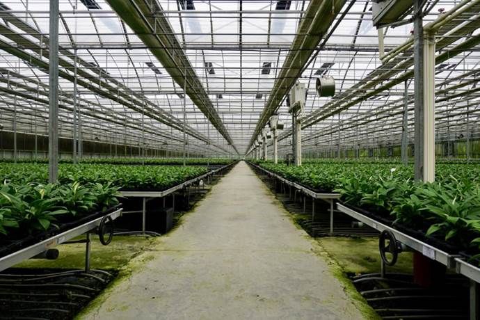 206.李盛 大柴湖·旧貌换新颜