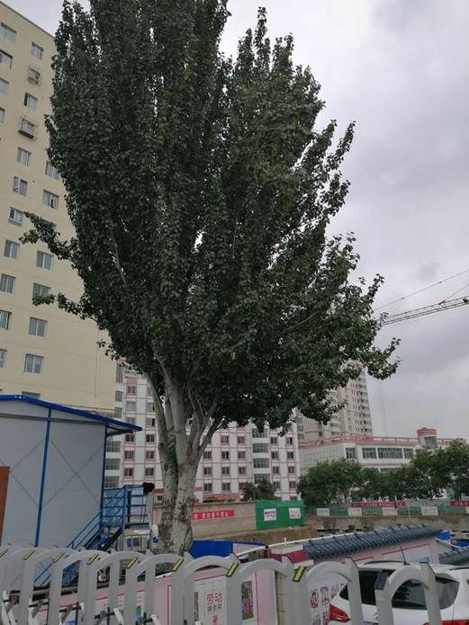 微信图片_20181219154914